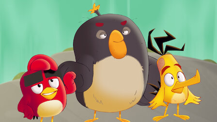 Angry on sale birds netflix